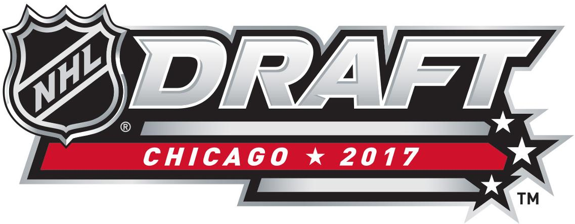 NHL Draft 2017 Alternate Logo iron on transfers for T-shirts